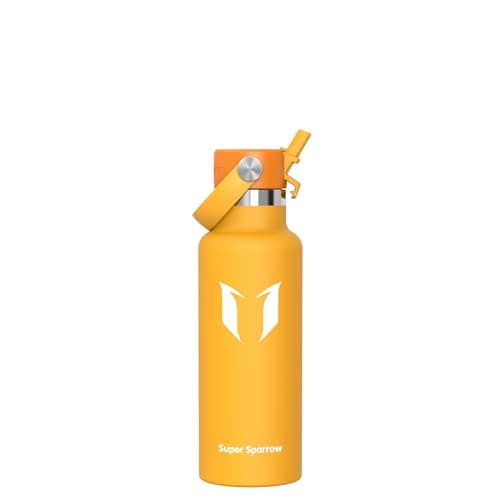 Sparrow Insulated Water Bottle Kids 500ml Metal Drinks Bottle with Straw