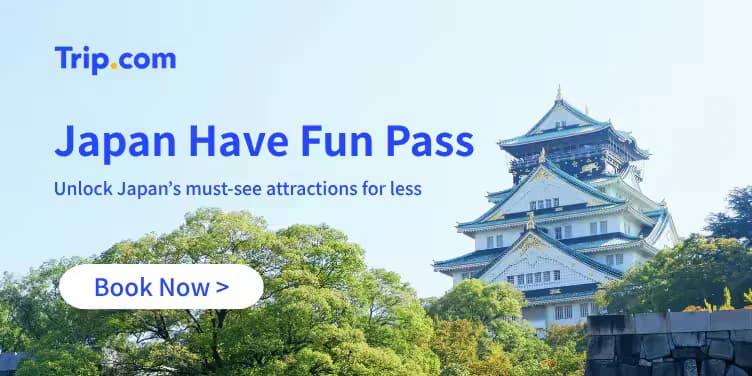 20% OFF popular Have Fun Passes in Japan