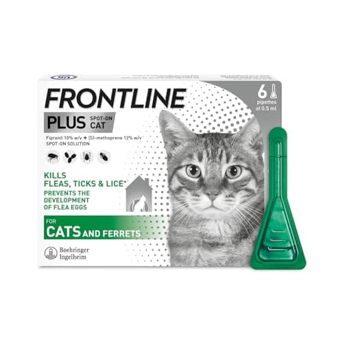 FRONTLINE Plus Flea & Tick Treatment for Cats and Ferrets - 6 Pipettes, image 1 of 6
