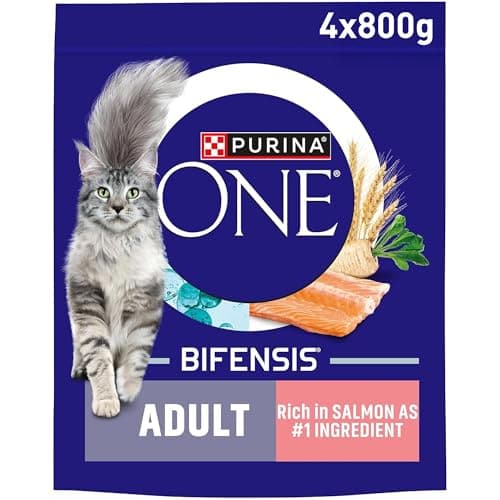 PURINA ONE Salmon Dry Cat Food 800g (Pack of 4), image 1 of 8